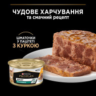 Pro Plan Adult Maintenance  Кусочки в паштете с курицей для взрослых кошек 85 г