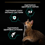 Pro Plan Adult Renal Plus Сухой корм для взрослых кошек с курицей 1.5 кг