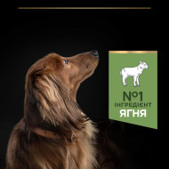 Pro Plan Sensitive Digestion Lamb корм для маленьких пород с чуствительным пищеварением 700 г