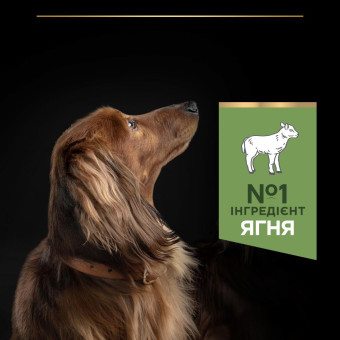 Pro Plan Sensitive Digestion Lamb корм для маленьких пород с чуствительным пищеварением 700 г
