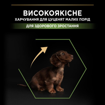 Pro Plan Puppy Small & Mini Сухой корм с курицей для щенков малых и миниатюрных пород 700 г