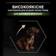 Pro Plan Puppy Small & Mini Сухой корм с курицей для щенков малых и миниатюрных пород 700 г