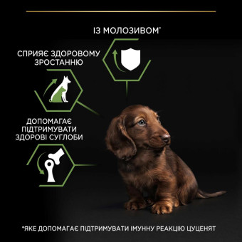 Pro Plan Puppy Small & Mini Сухой корм с курицей для щенков малых и миниатюрных пород 700 г