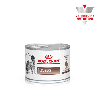 Royal Canin Recovery - диетический влажный корм для кошек и собак для  восстановления после болезни