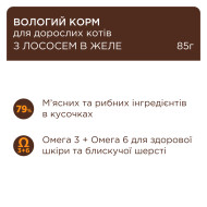 Клуб 4 Лапы - влажный корм с лососем в желе для взрослых кошек 85 г