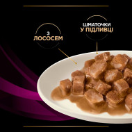 Pro Plan Veterinary Diets UR Urinary Кусочки в подливке с лососем для кошек 85 г