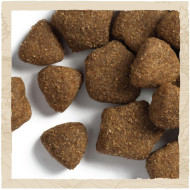 Dog Chow Adult Lamb для взрослых собак с ягненком 2.5 кг