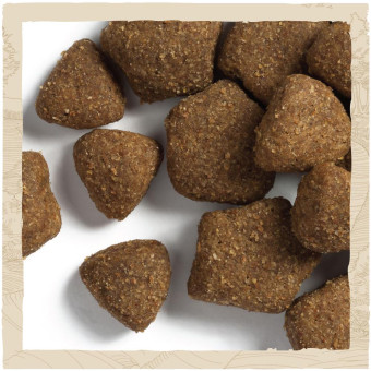 Dog Chow Adult Lamb для взрослых собак с ягненком 2.5 кг