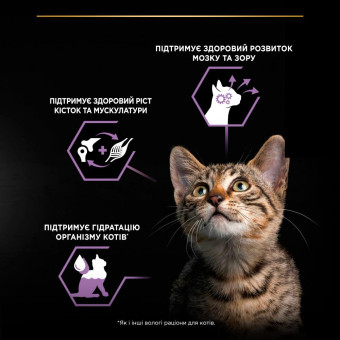 Pro Plan Мультипак Kitten Healthy Start Turkey in gravy Кусочки с индейкой для котят 85г х 10