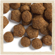 Dog Chow Puppy корм для щенят всех пород с ягненком 2.5 кг