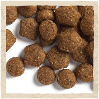 Dog Chow Puppy корм для щенят всех пород с ягненком 2.5 кг
