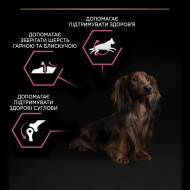 Pro Plan Sensitive skin - корм с лососем для  собак маленьких пород с чувствительной кожей 7 кг