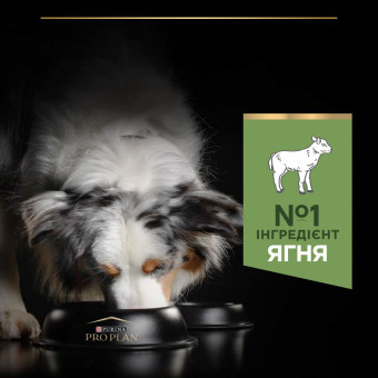 Pro Plan Adult Medium Sensitive для средних пород с чувствительным пищеварением ягненок (на вес)1 кг