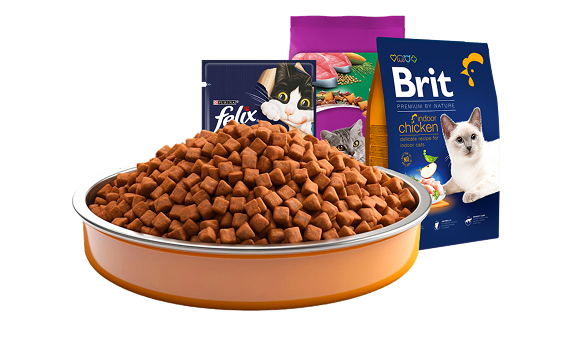 Интернет магазин "CATZILLA"